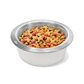 OXO Pet Nonslip Bowl - Medium, 2 Cups / 480 mL