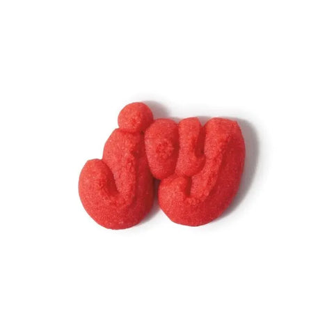 Christmas Cookie Press Disk Set