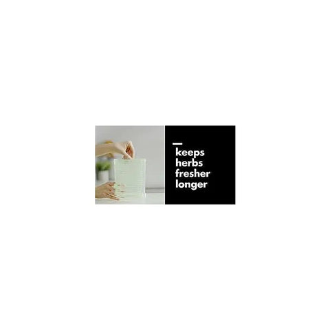 GreenSaver Herb Keeper - Large
