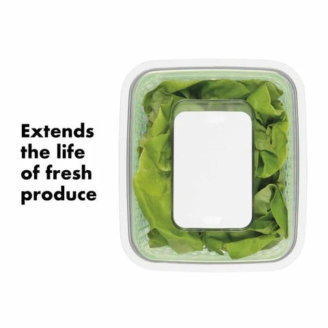 GreenSaver Produce Keeper (4.3 Qt)