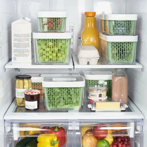 GreenSaver Produce Keeper (5.0 Qt)