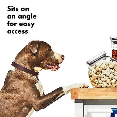OXO Good Grips Pet POP Container – 3.0 Qt/2.8 L