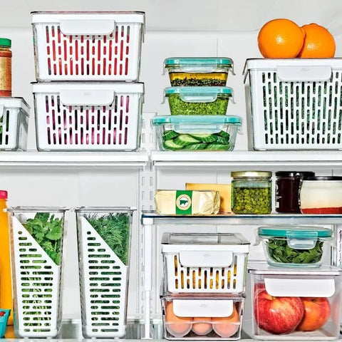 Produce Saver Bin with Filter