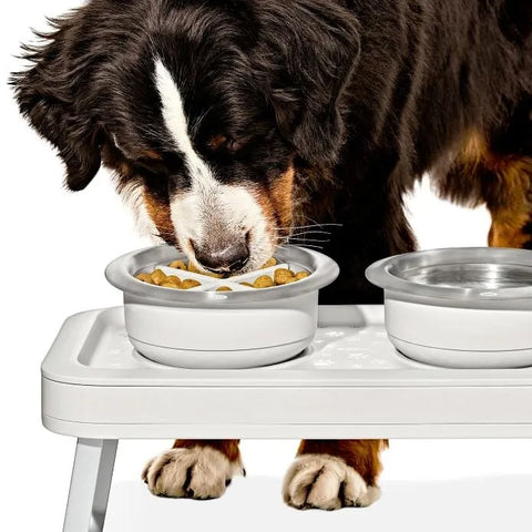 OXO Pet Easy-Clean Slow Feeder - Large, 4 Cups/950 ml