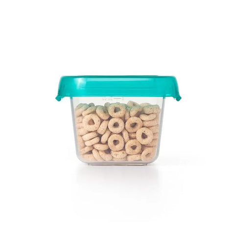 6 oz Baby Blocks™ Plastic Freezer Storage Containers