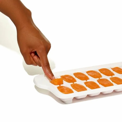 Baby Food Freezer Tray Set